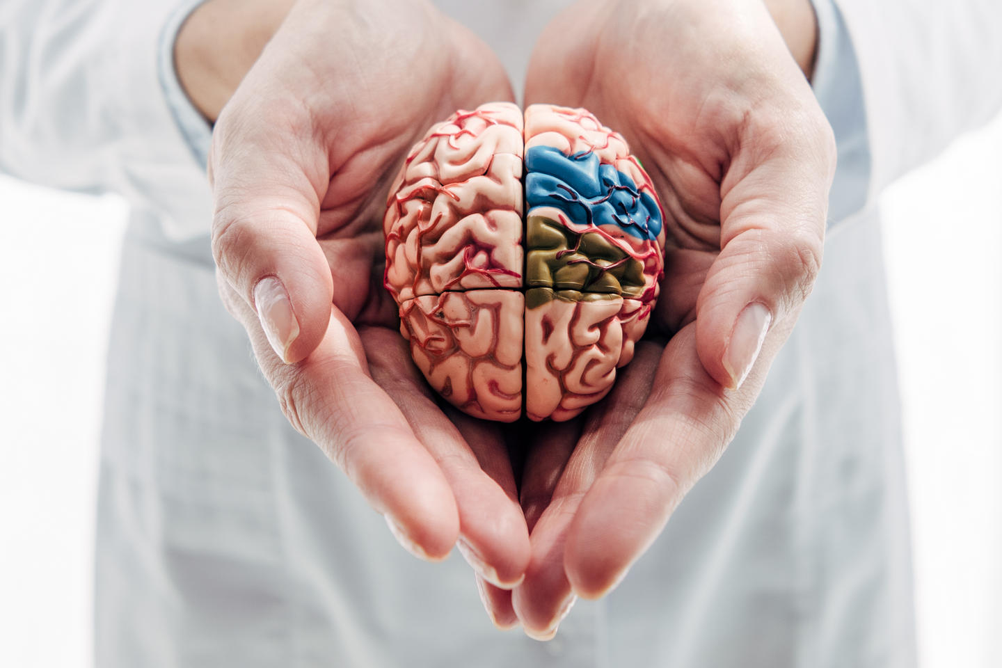 Neurodydaktyka Czyli Neurony W Szkolnej ławce Blog Neurodydaktyka w różnych obszarach edukacji :: Studia podyplomowe :: CB