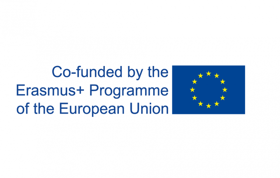 Erasmus