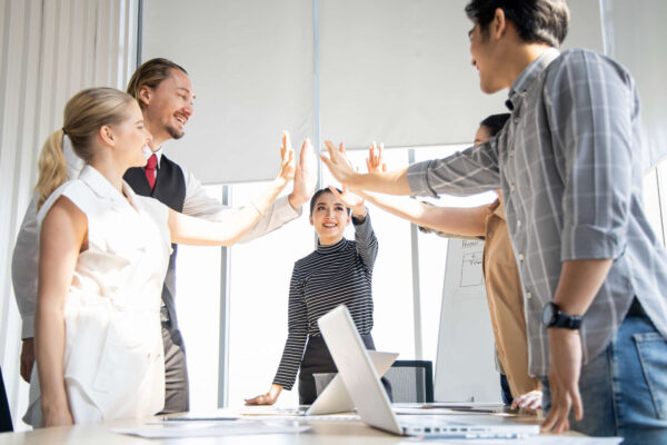 Akademia dyrektora plus