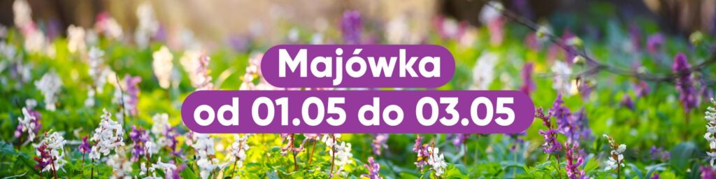 majówka -2026. Za zdjęciu w tle kwiaty.
